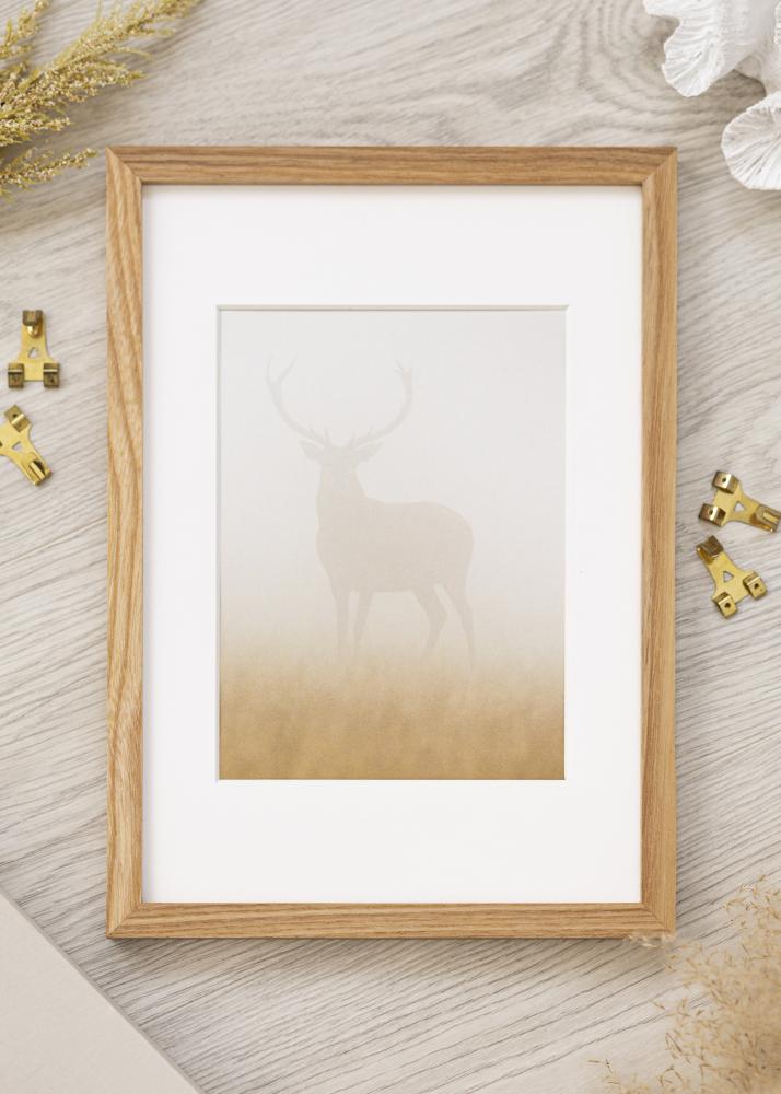 Rāmis Masīvkoks Akrlstikls 42x59,4 (A2)