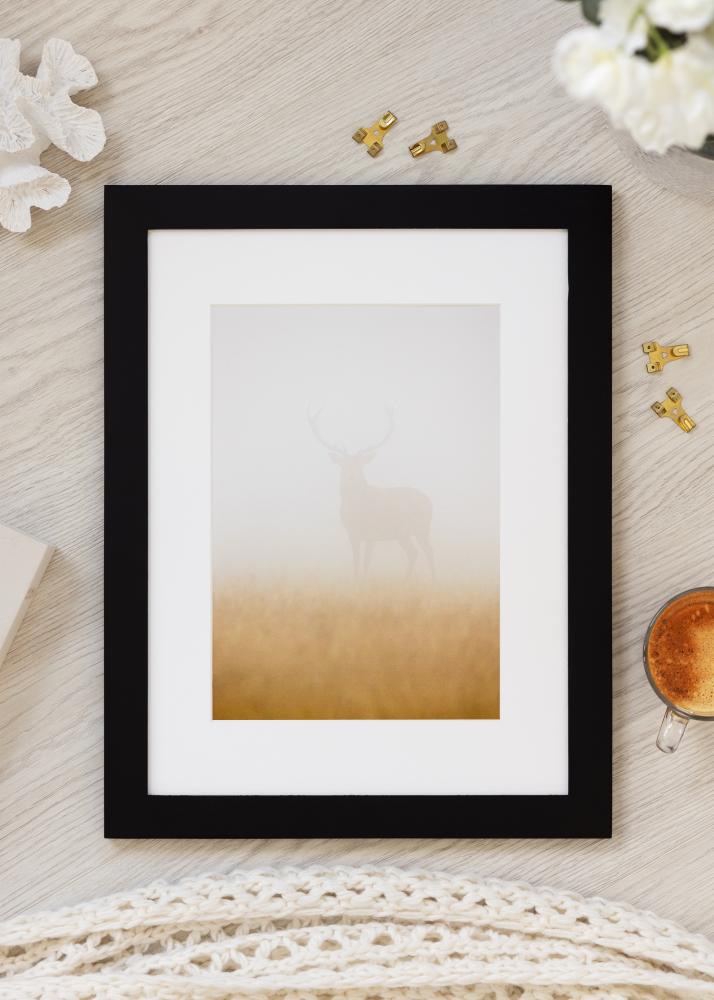 BGA Select Wide Akrila stikls Melns 70x100 cm