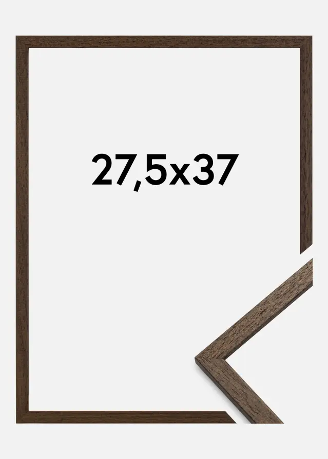 Rāmis Edsbyn Valrieksts 27,5x37 cm