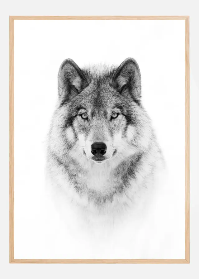 Portrait of a Timber Wolf Plakāts