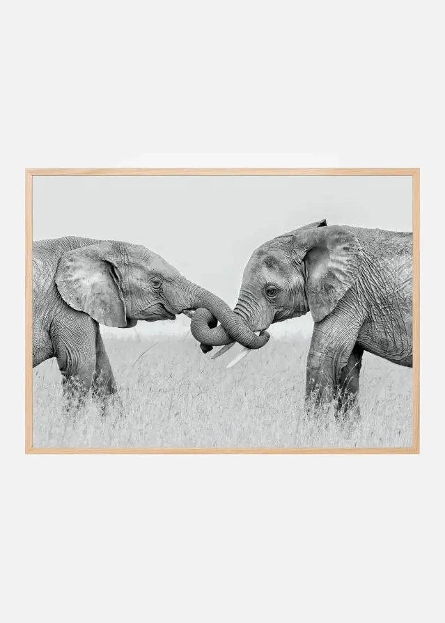 Confrontation Plakāts