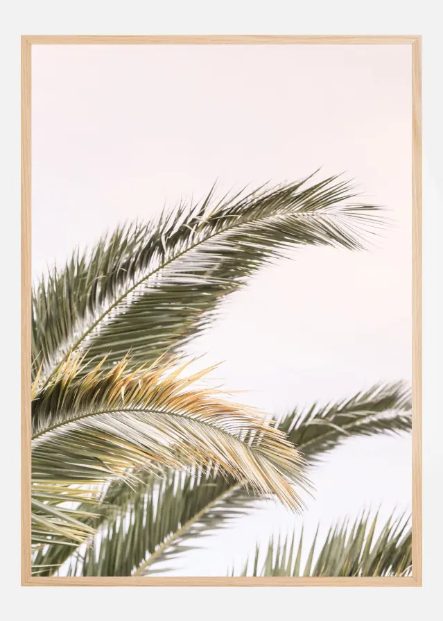 Oasis Palm 03 Plakāts