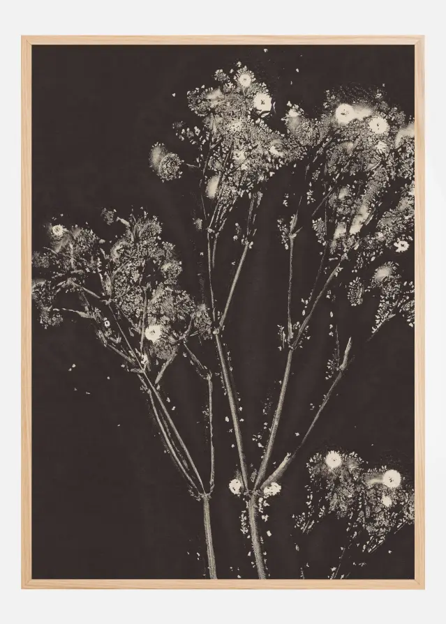 Floral Whispers Plakāts