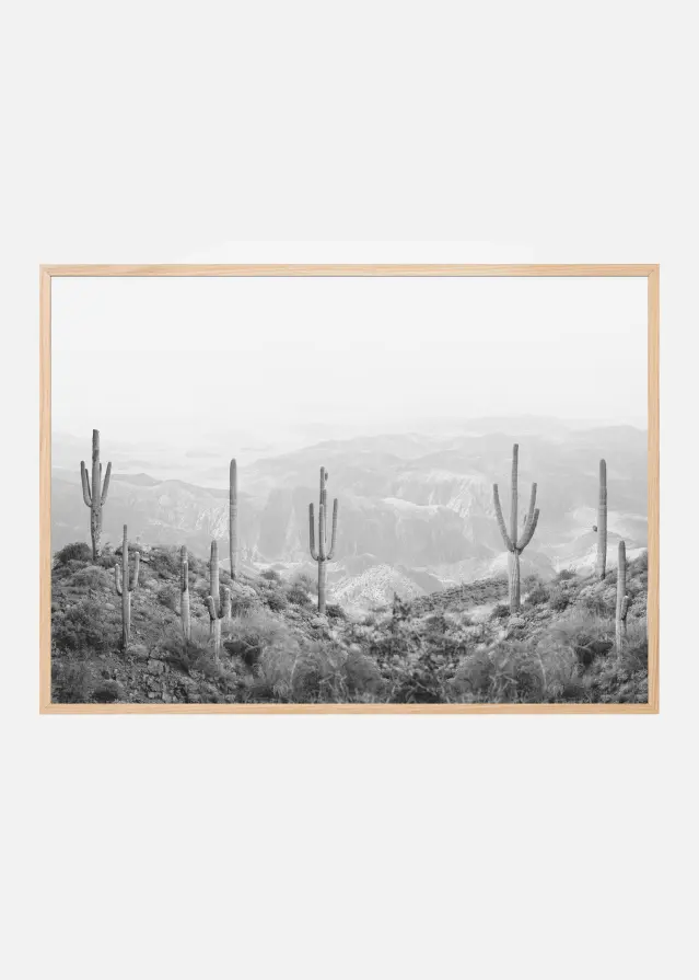 Western Cactus Plakāts