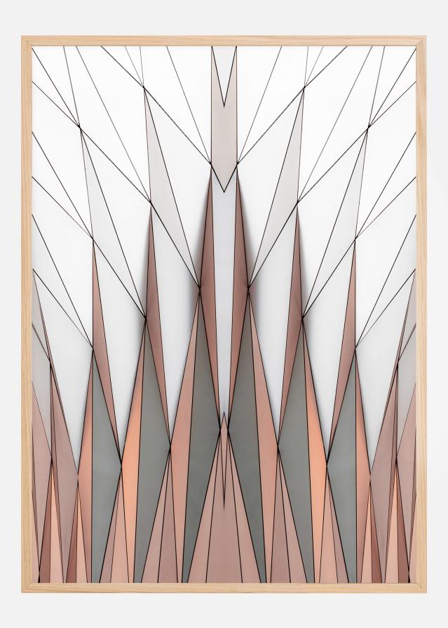 Organo leggero Plakāts