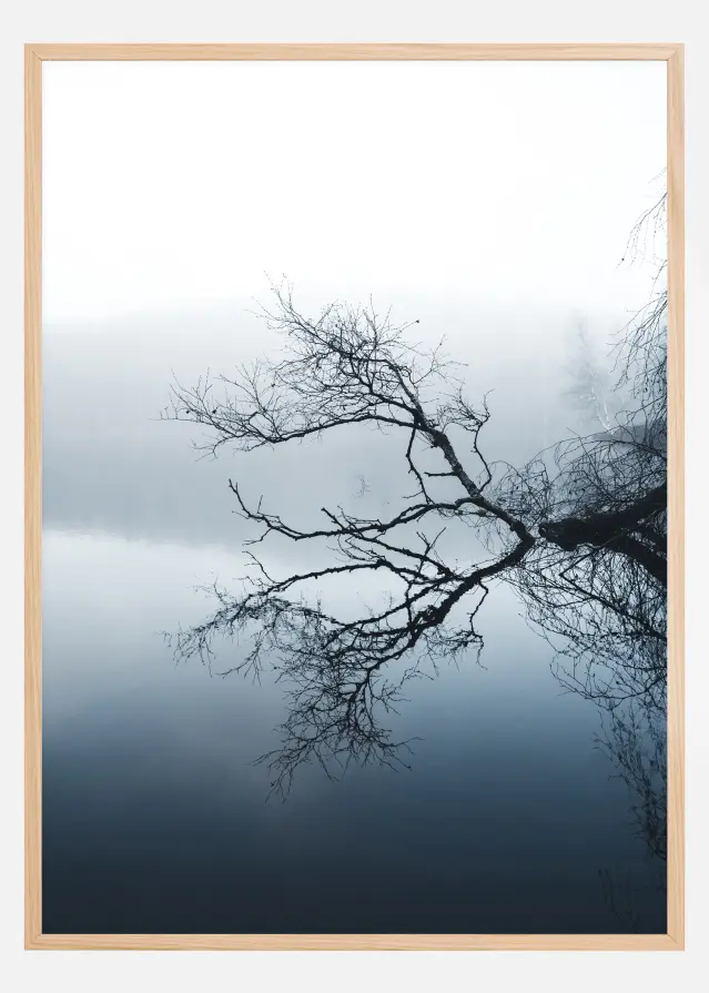 Water Reflection Plakāts