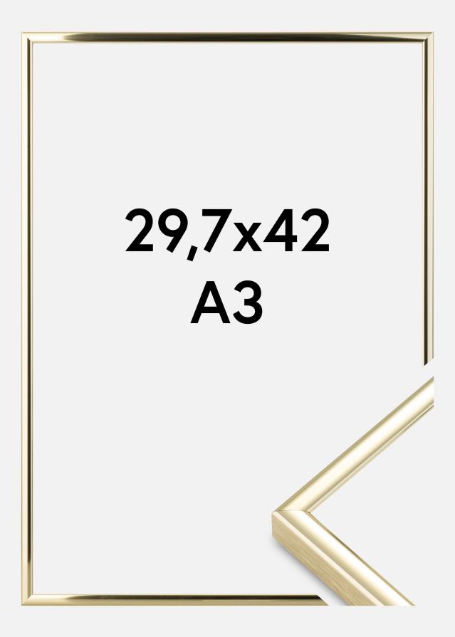 Rāmis Nielsen Premium Classic Zelta 29,7x42 cm (A3)