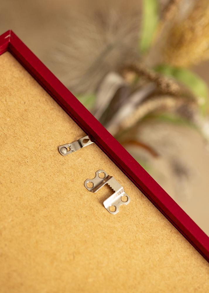 Colorful Akrila stikls Sarkans 60x80 cm