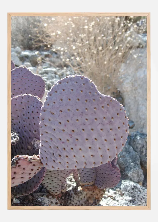 Cactus Plakāts