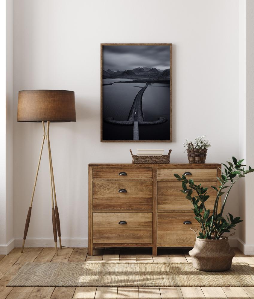 The Protected Land Plakāts