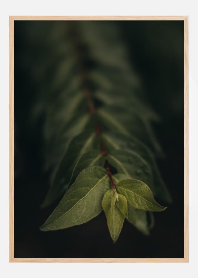 Blurry Branch Plakāts