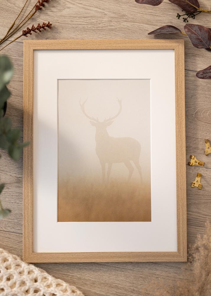 Rāmis Deco Akrila stikls Ozols 29.7x42 cm (A3)