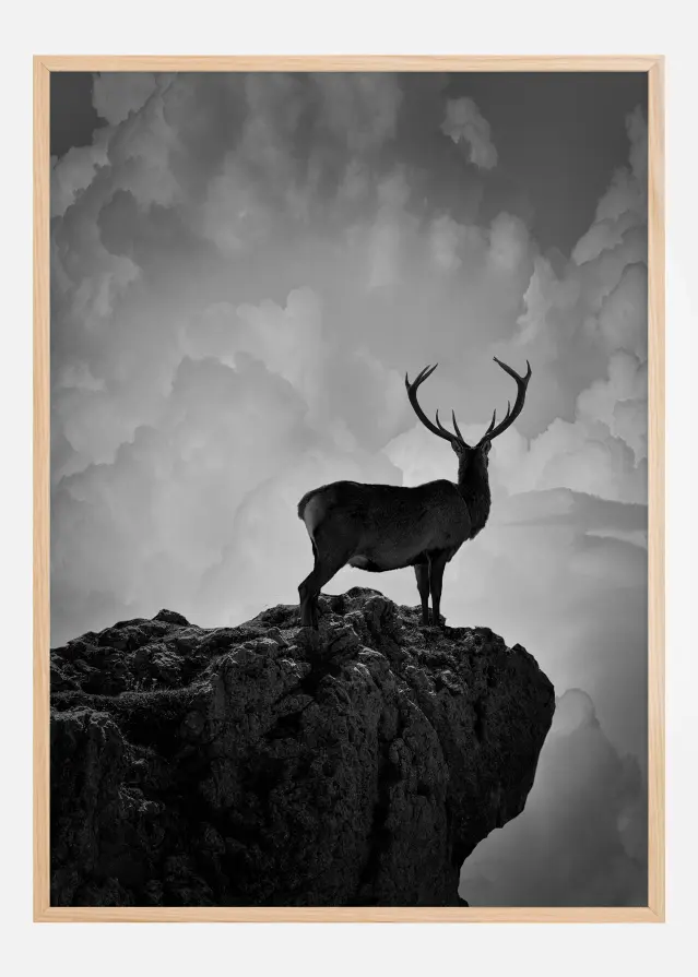 Black and White Deer Plakāts