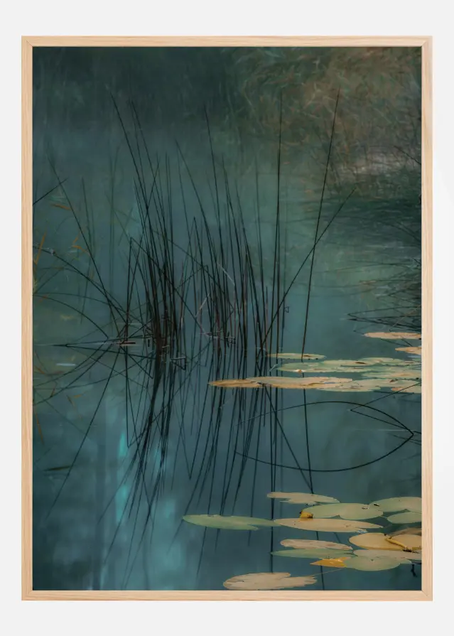 Aqua Plakāts
