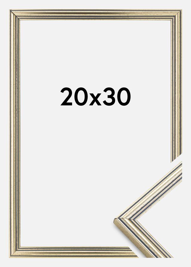 Rāmis Classic Sudrabs 20x30 cm