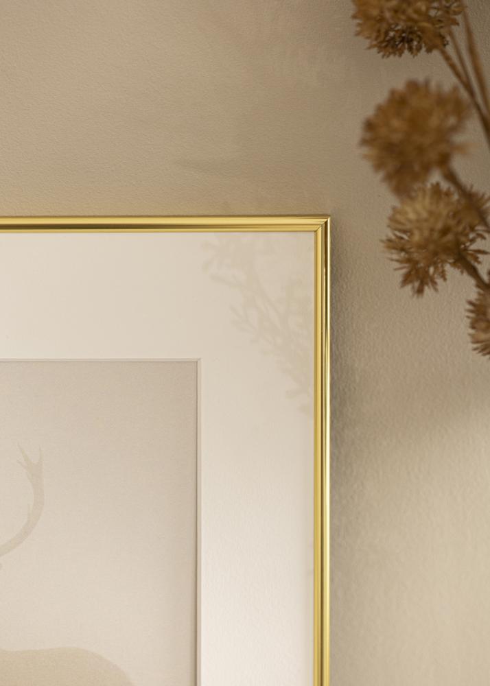 Rāmis Can-Can Zelta 21x30 cm