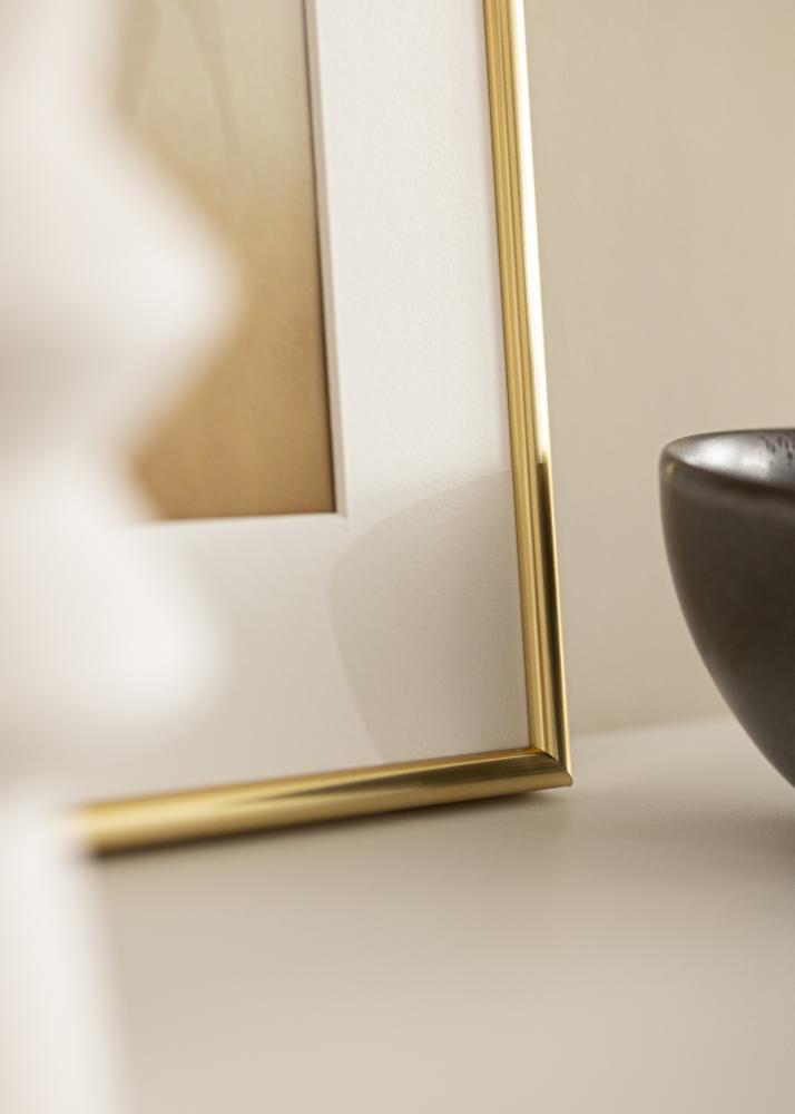 Rāmis Galeria Zelta 50x60 cm