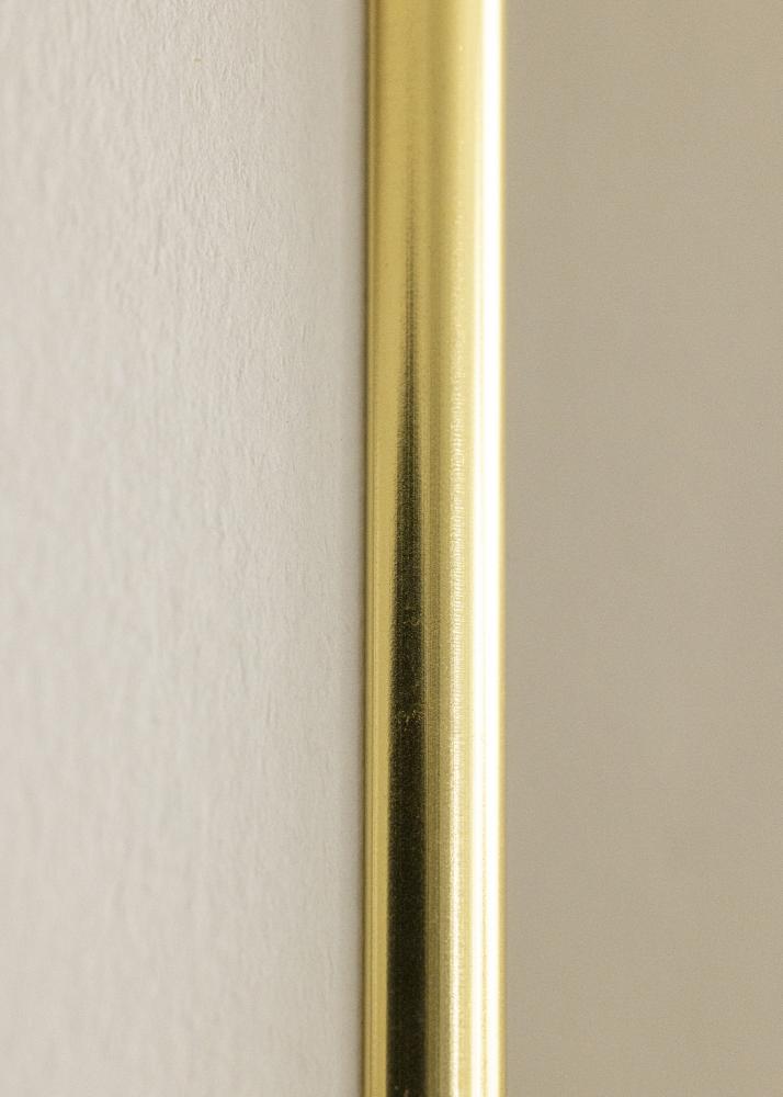 Rāmis Can-Can Zelta 21x30 cm