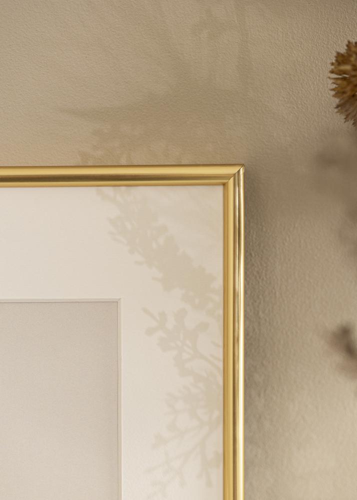 Rāmis Galeria Zelta 50x60 cm