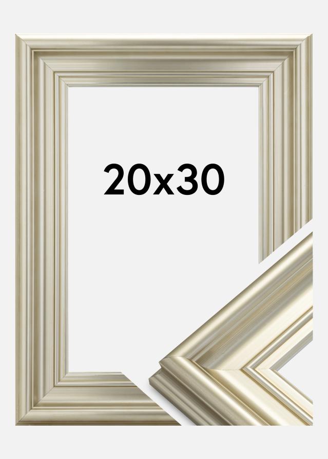 Rāmis Mora Premium Sudrabs 20x30 cm