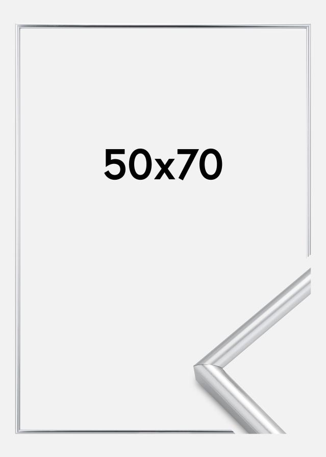 Rāmis Galeria Sudrabs 50x70 cm