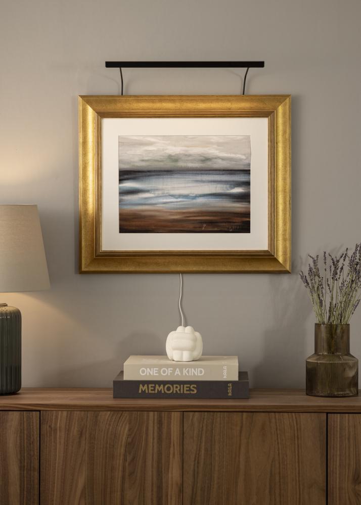 BLP 117 gleznu apgaismojums 45 cm - Melns