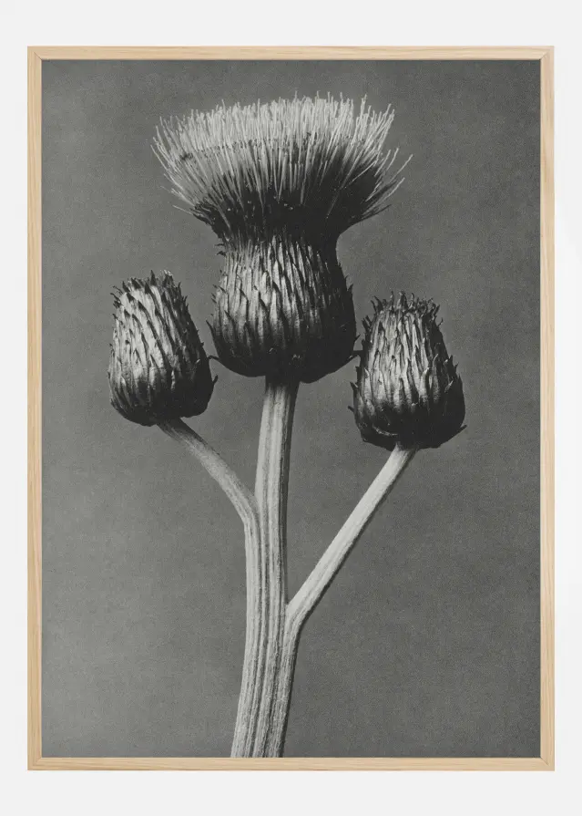 Grey Flower I Plakāts
