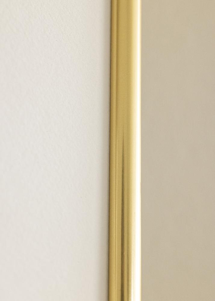 Rāmis Galeria Zelta 50x60 cm