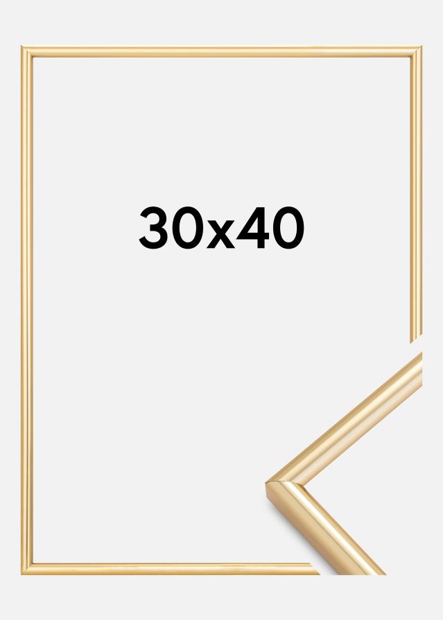 Rāmis Galeria Zelta 30x40 cm