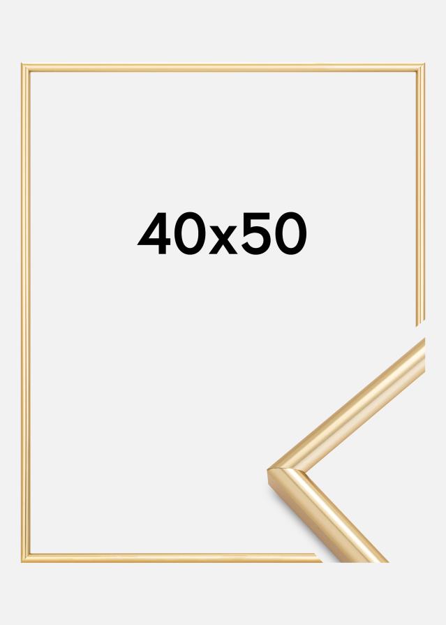 Rāmis Galeria Zelta 40x50 cm