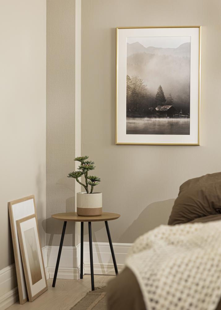 Rāmis Galeria Zelta 50x60 cm