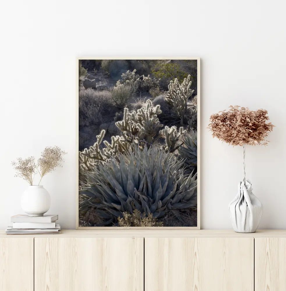 Cactus In Desert Plakāts