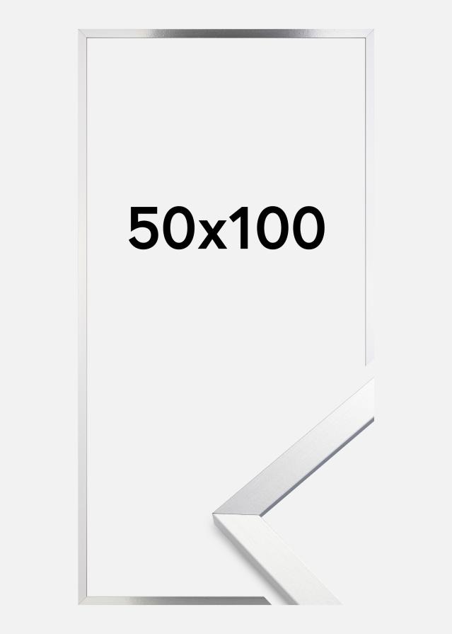 Rāmis Trendy Akrila Stikls Sudrabs 50x100 cm
