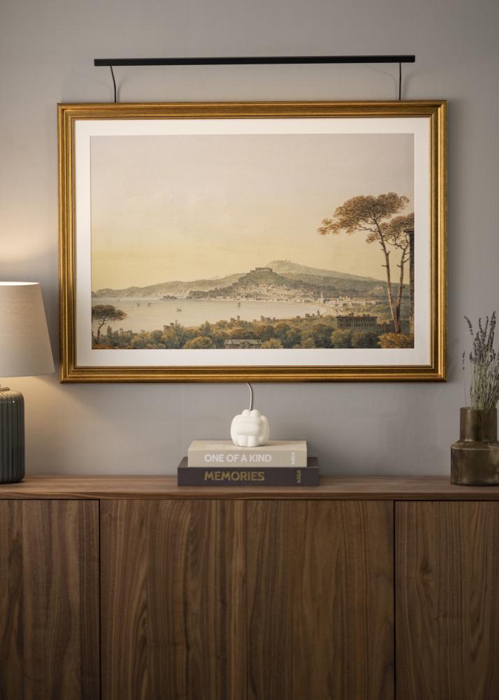 BLP 117 gleznu apgaismojums 85 cm - Melns