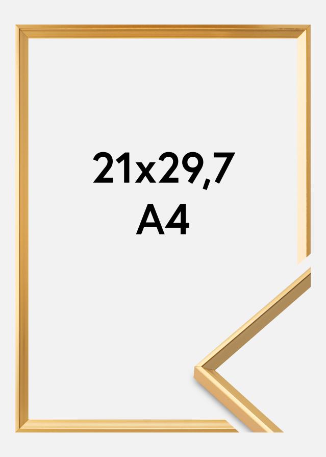 Rāmis Desire Zelta 21x29,7 cm (A4)