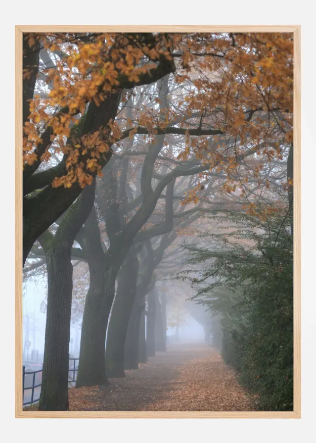 Autum Stroll Plakāts