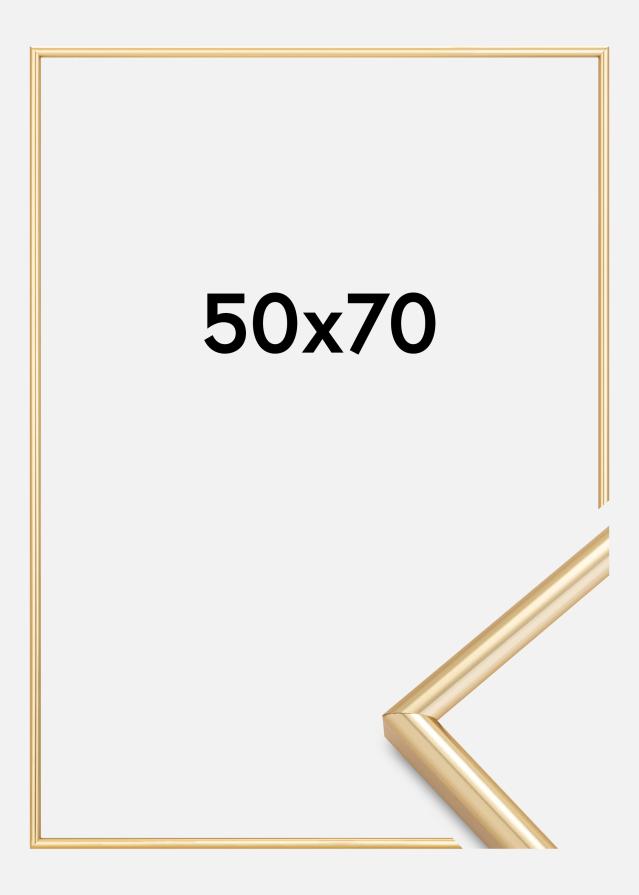 Rāmis Galeria Zelta 50x70 cm