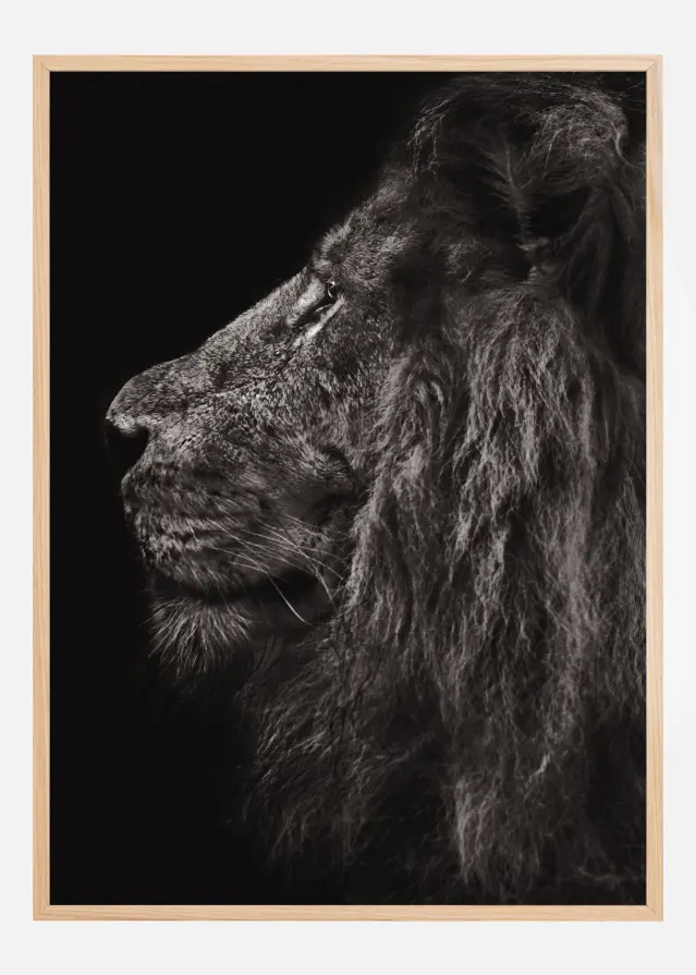 Lion In Profile Plakāts