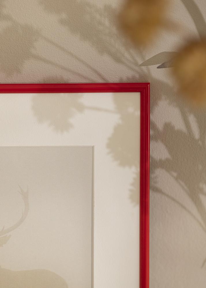 Rāmis Galeria Sarkans 10x15 cm