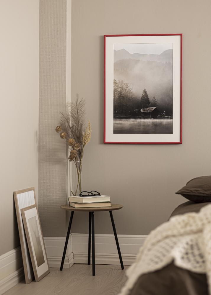 Rāmis Galeria Sarkans 10x15 cm