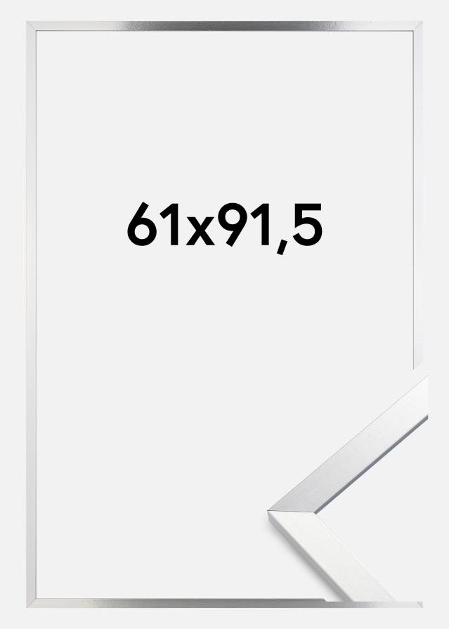 Rāmis Trendy Akrila Stikls Sudrabs 61x91,5 cm