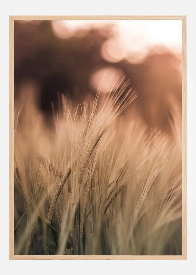 Wheat Fields I Plakāts