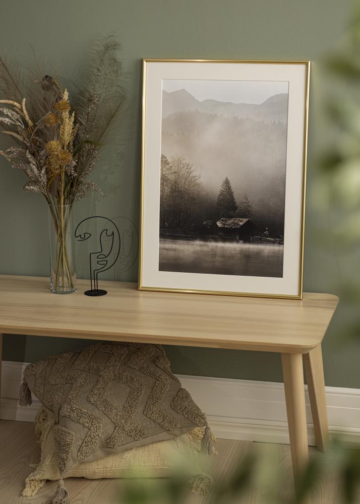 Rāmis Galeria Zelta 50x60 cm