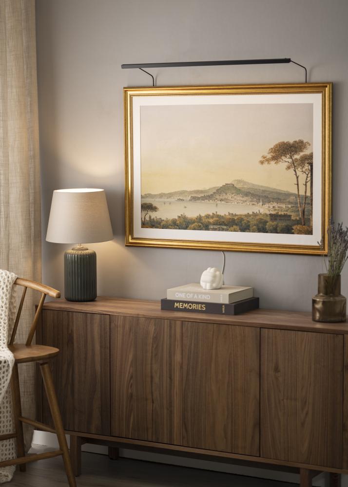 BLP 117 gleznu apgaismojums 85 cm - Melns