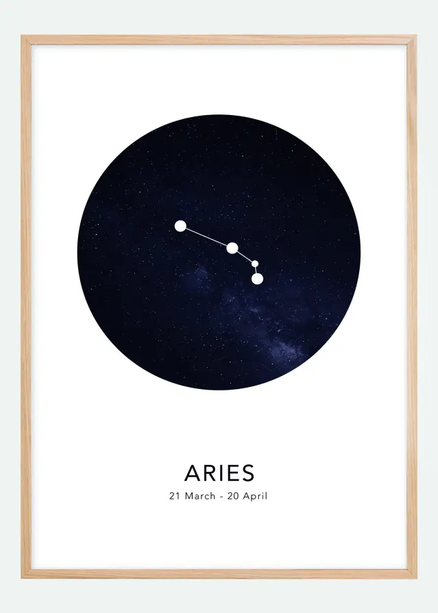 Aries Plakāts