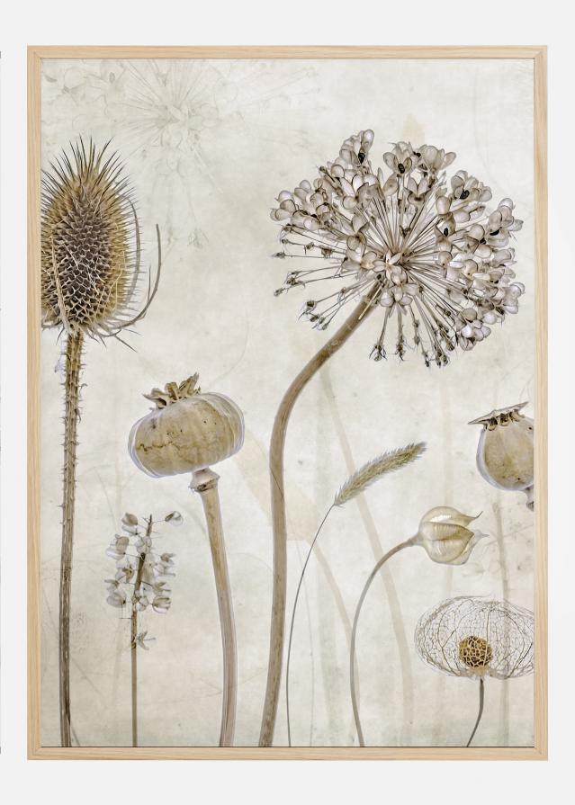 Growing Old Plakāts