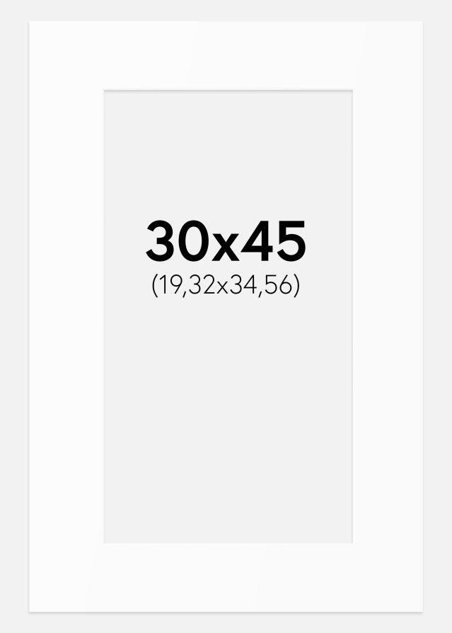 Paspartū Balts Standarts (Balts Kodols) 30x45 cm (19,32x34,56)
