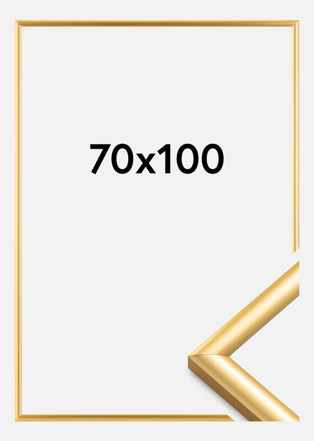 Rāmis Trendstyle Zelta 70x100 cm