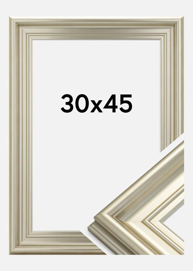 Rāmis Mora Premium Sudrabs 30x45 cm