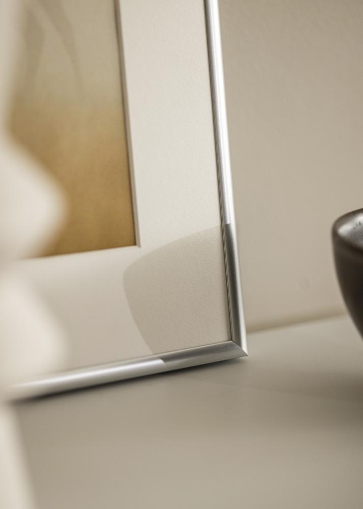 Rāmis Victoria Akrila stikls Sudrabs 70x100 cm